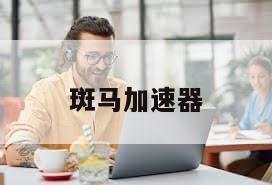 斑马加速器