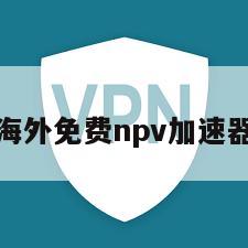 海外免费npv加速器