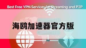 海鸥加速器官方版