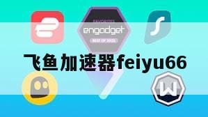 飞鱼加速器feiyu66