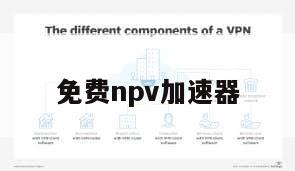 免费npv加速器