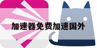 加速器免费加速国外