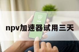 npv加速器试用三天