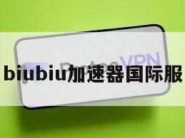 biubiu加速器国际服
