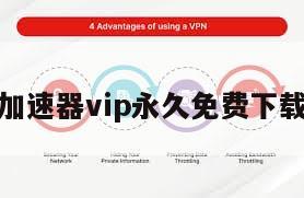 加速器vip永久免费下载